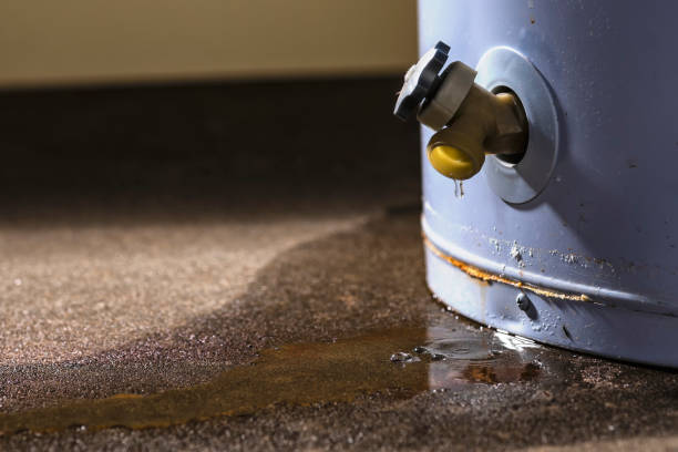 Best Flood restoration services  in Scottsville, NY