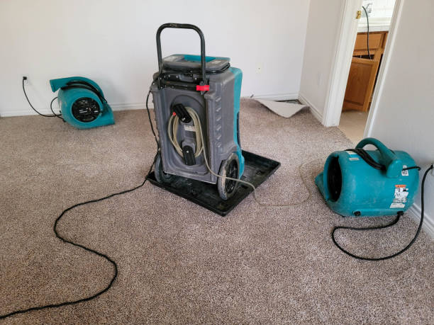 Best 24-hour water damage restoration  in Scottsville, NY