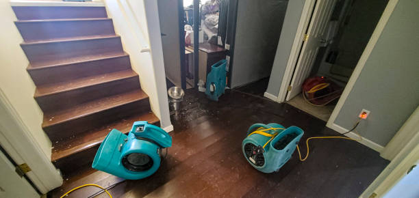 Best Emergency water damage restoration  in Scottsville, NY