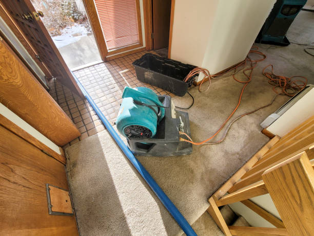 Best Water damage restoration services  in Scottsville, NY