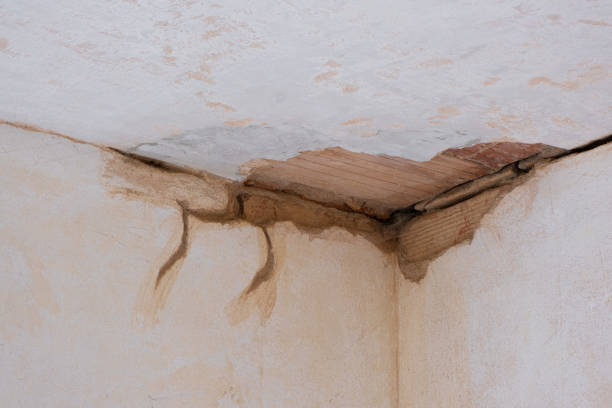 Water damage restoration mold remediation in Scottsville, NY