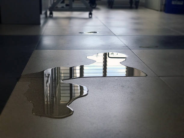 Best 24/7 water damage repair  in Scottsville, NY