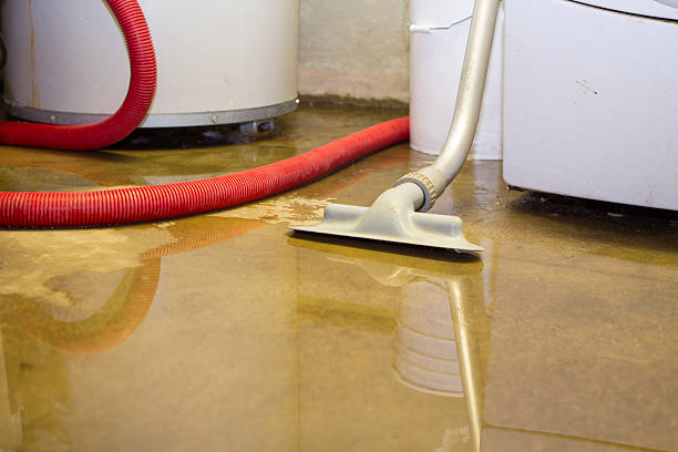 Best Flooded house restoration  in Scottsville, NY