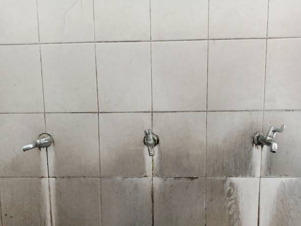 Best Water damage mitigation services  in Scottsville, NY