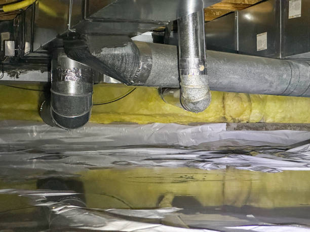 Best Water damage cleanup near me  in Scottsville, NY