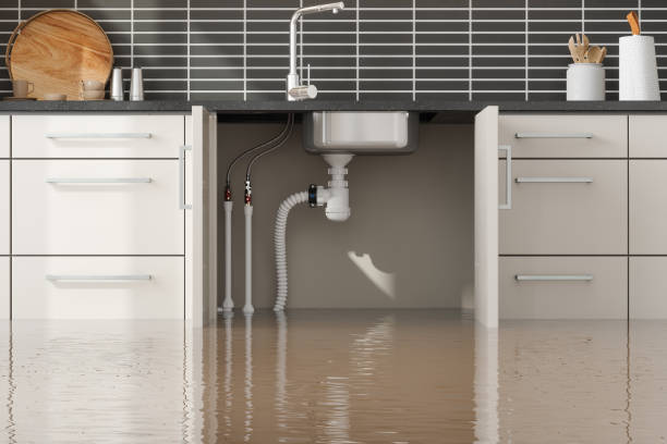  Scottsville, NY Water damage restoration Pros