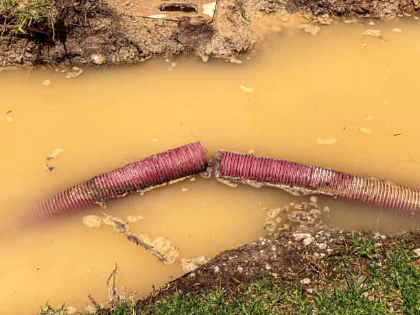 Best Local water damage restoration  in Scottsville, NY